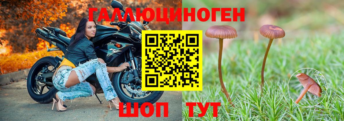 Псилоцибиновые грибы Magic Shrooms Саратов