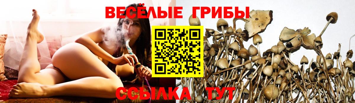 Галлюциногенные грибы MAGIC MUSHROOMS  Вход с VPN  где можно купить наркотик  Саратов 
